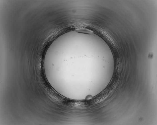 X0000100200501200806131233