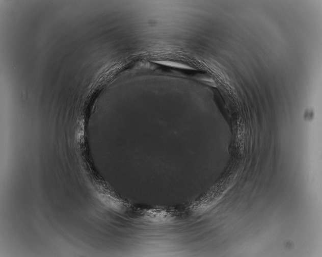 X0000100200502200806131233