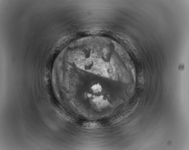 X0000100200503200806131233