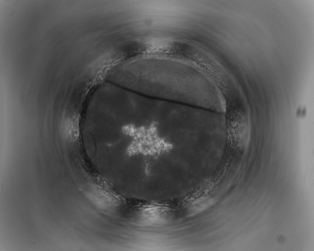 X0000100200504200806131233