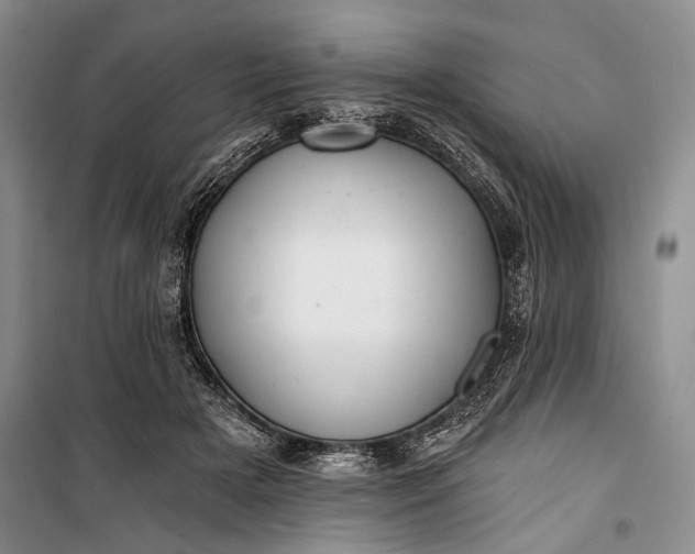 X0000100200505200806131233