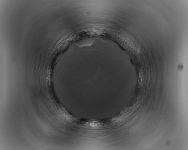 X0000100200506200806131233