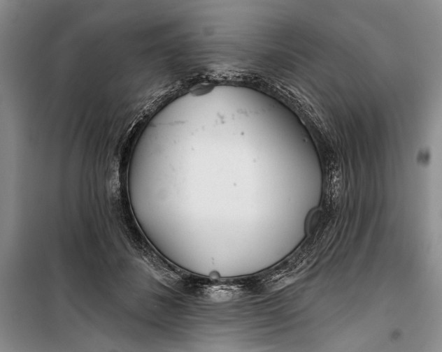 X0000100200508200806131233