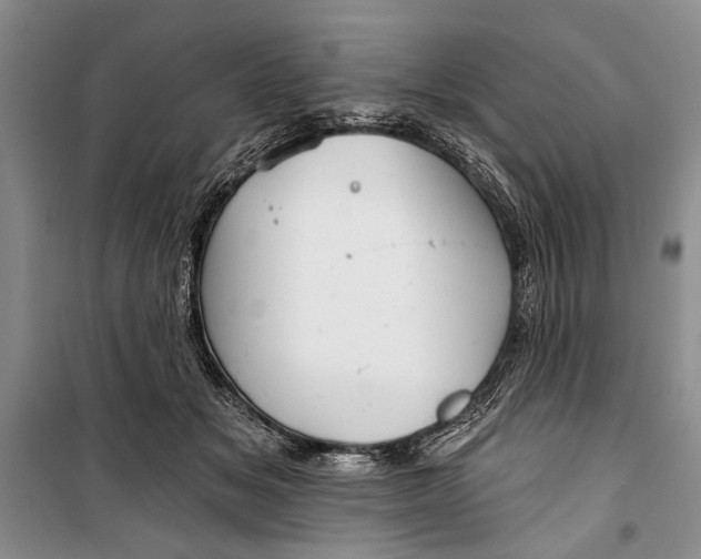 X0000100200509200806131233