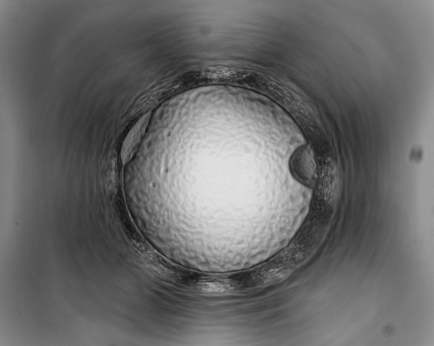 X0000100200510200806131233