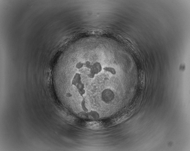 X0000100200511200806131233