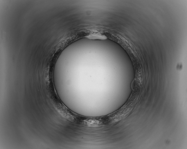 X0000100200512200806131233