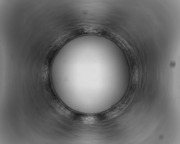 X0000100200513200806131233