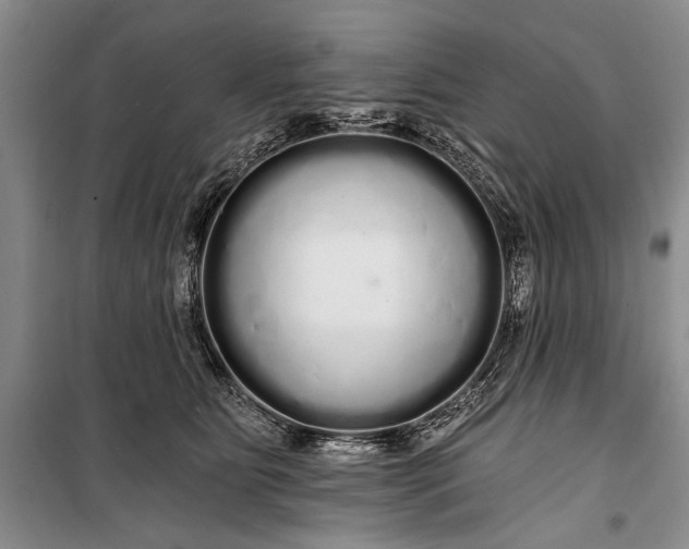 X0000100200515200806131233