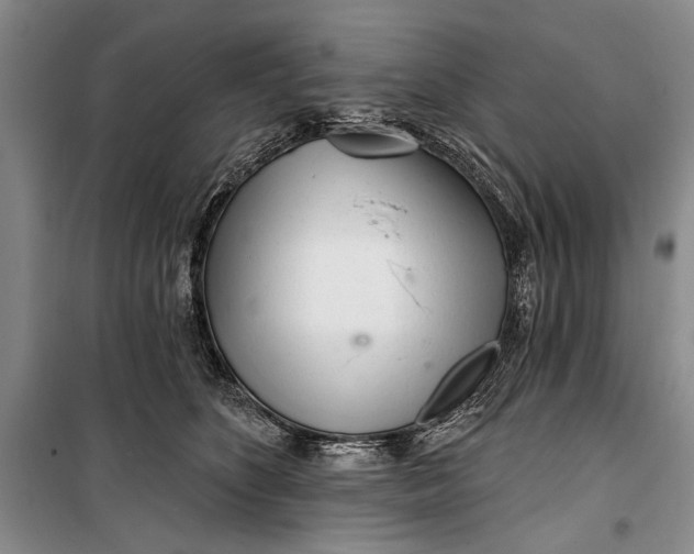 X0000100200516200806131233