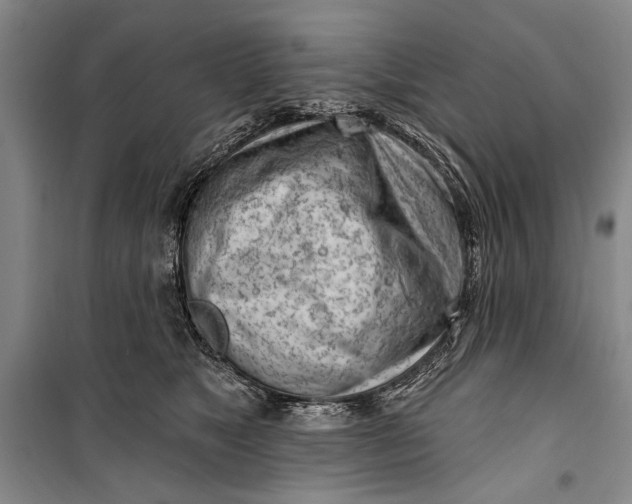 X0000100200517200806131233