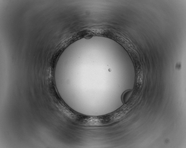 X0000100200518200806131233