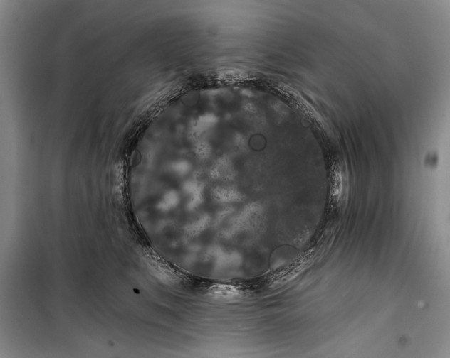 X0000100200519200806131233