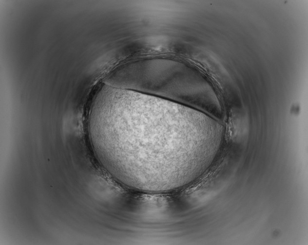 X0000100200520200806131233