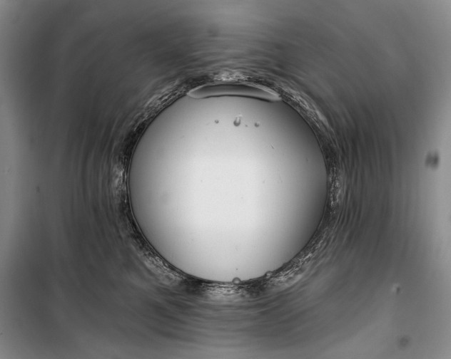 X0000100200521200806131232