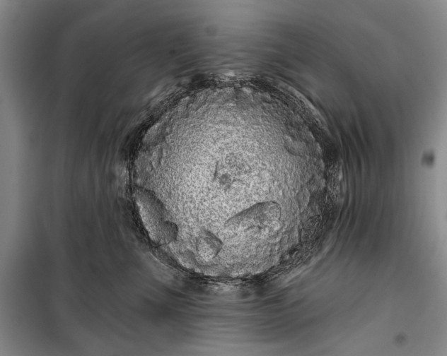 X0000100200523200806131232