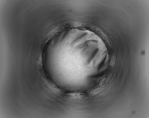 X0000100200524200806131232