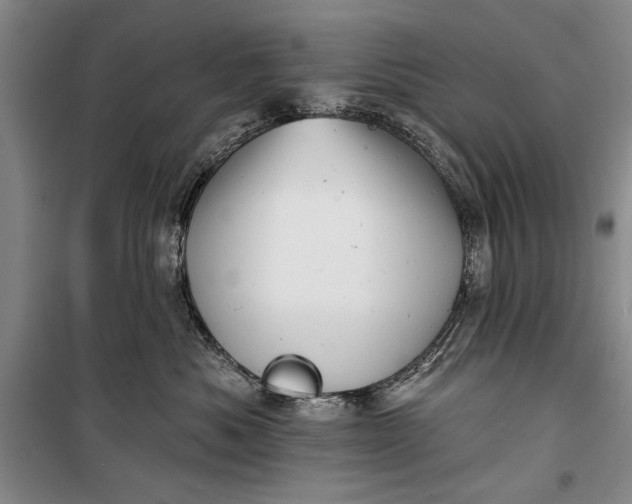 X0000100200525200806131232