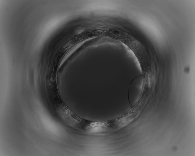 X0000100200526200806131232