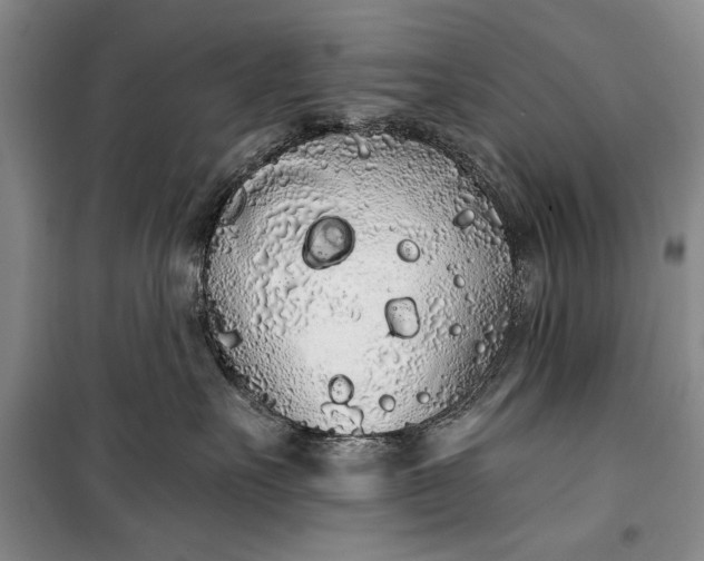 X0000100200527200806131232