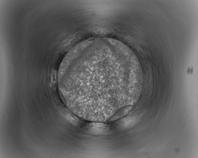 X0000100200528200806131232