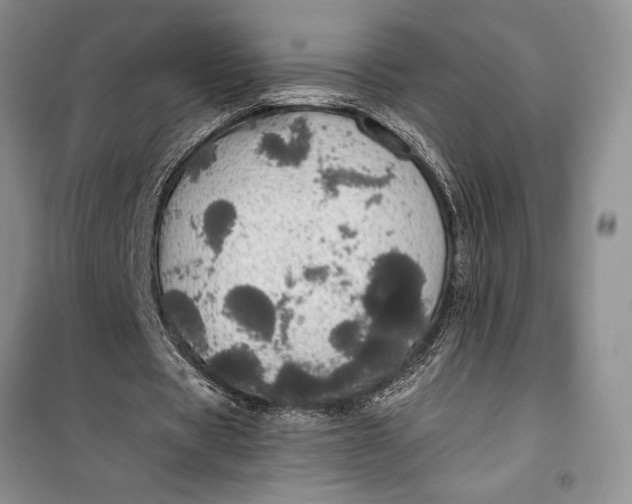 X0000100200529200806131232