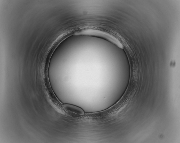 X0000100200530200806131232