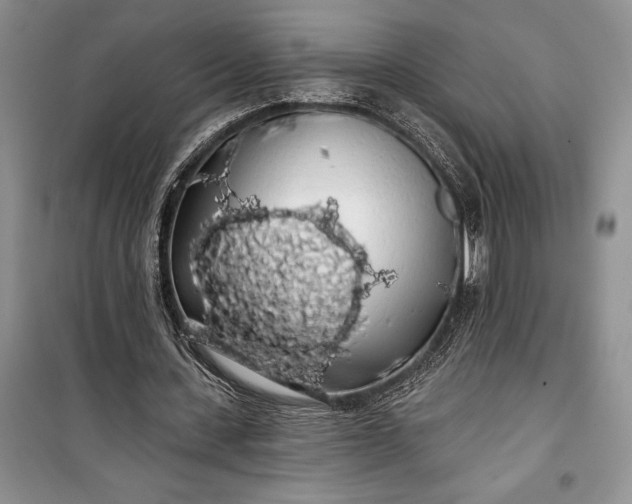 X0000100200531200806131232