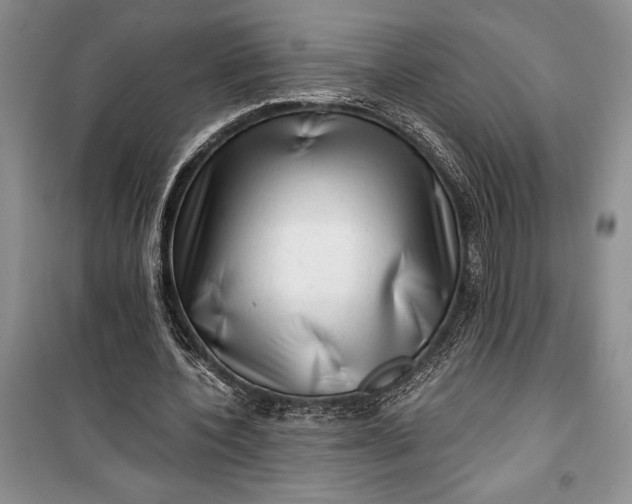 X0000100200532200806131232