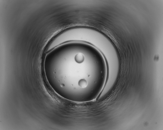 X0000100200534200806131232