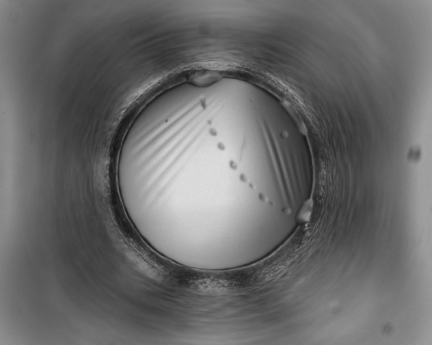 X0000100200535200806131232