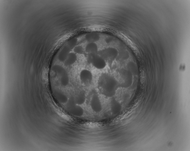 X0000100200537200806131232