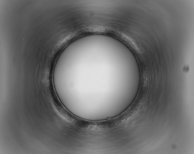 X0000100200538200806131232