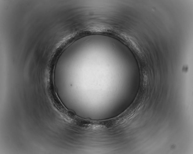 X0000100200539200806131232