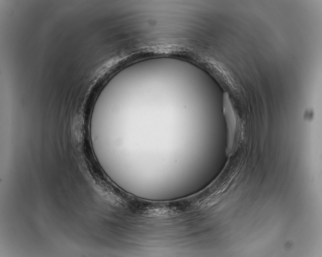 X0000100200540200806131232