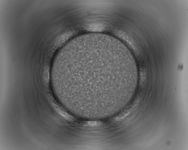 X0000100200541200806131232