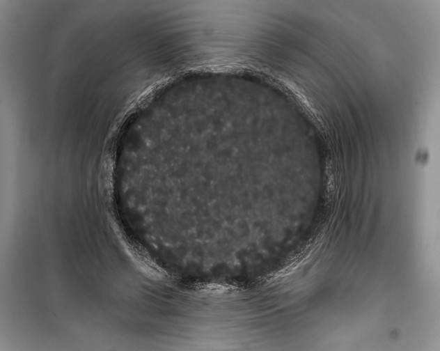 X0000100200542200806131232