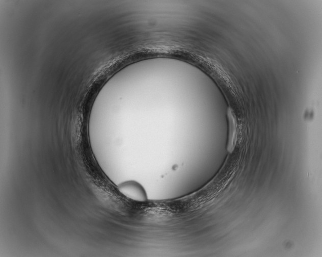 X0000100200544200806131232