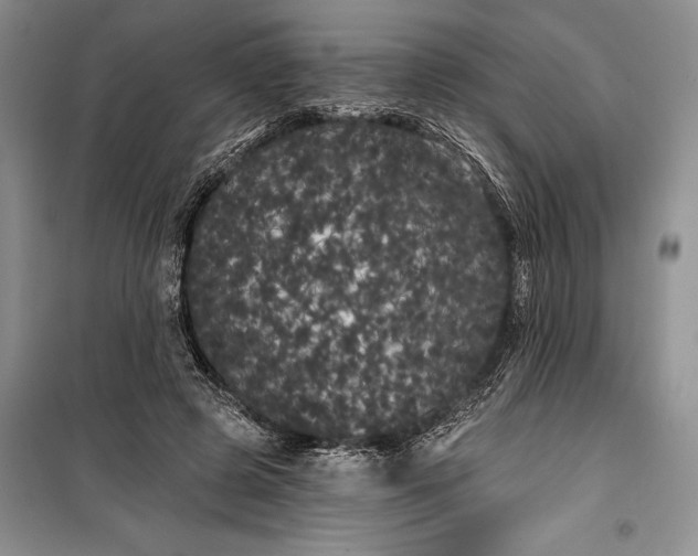 X0000100200545200806131232