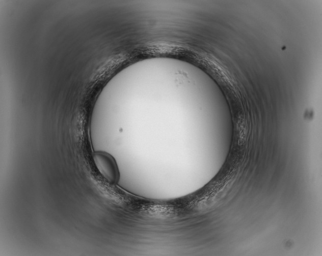 X0000100200546200806131232