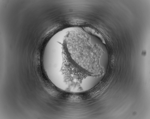 X0000100200547200806131232