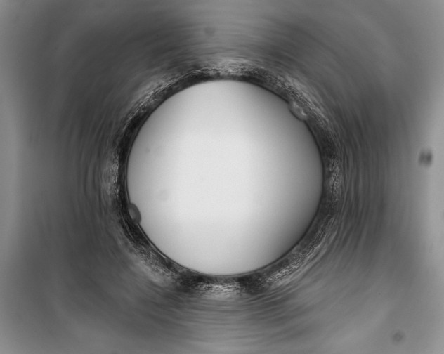 X0000100200548200806131232