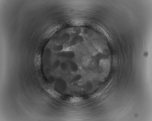 X0000100200549200806131232