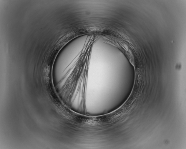 X0000100200550200806131232