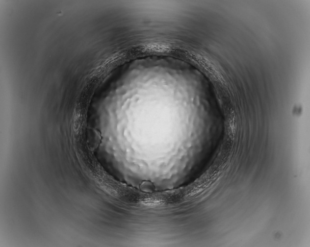 X0000100200551200806131232