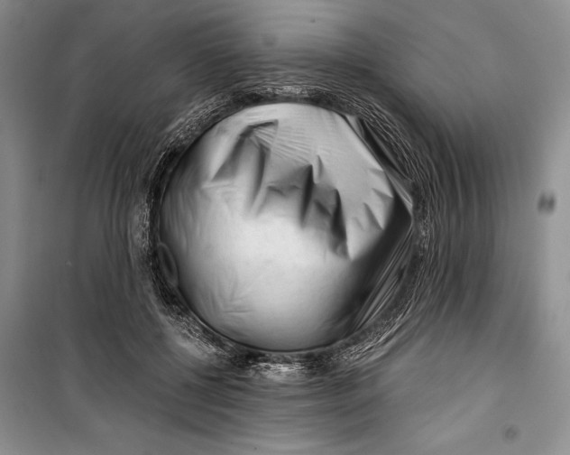 X0000100200552200806131232