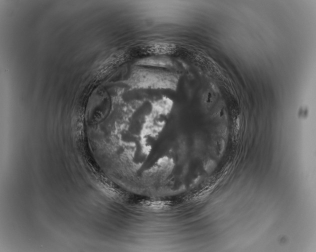 X0000100200553200806131232