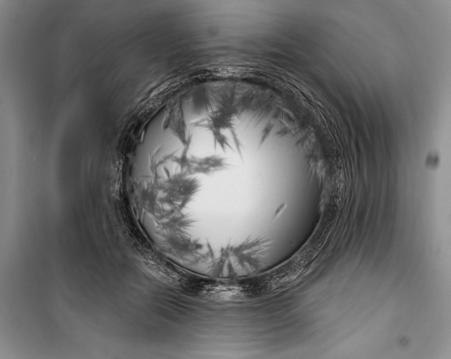 X0000100200554200806131232