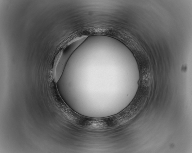 X0000100200555200806131232