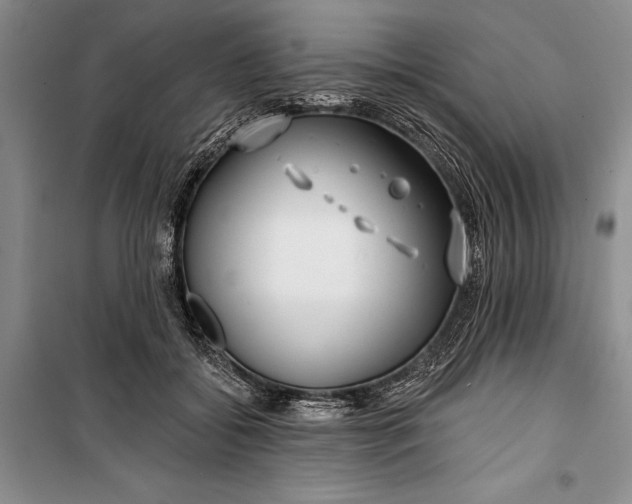 X0000100200556200806131232